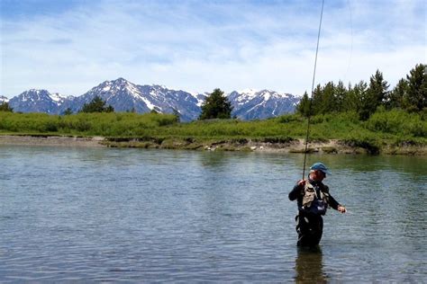 alaska fishing license for seniors|Are you a .